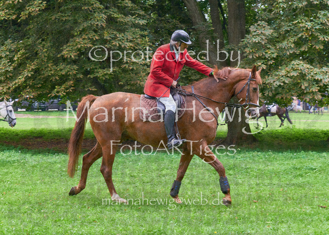 09-23 JAgd PerdölDSC01855_Marina Hewig | Fotografie, FotoArt, PferdesportArt, Pferdesportfotografie, Landschaftsfotografie, Reisefotografie, Reise, Pferde - Realisiert mit Pictrs.com