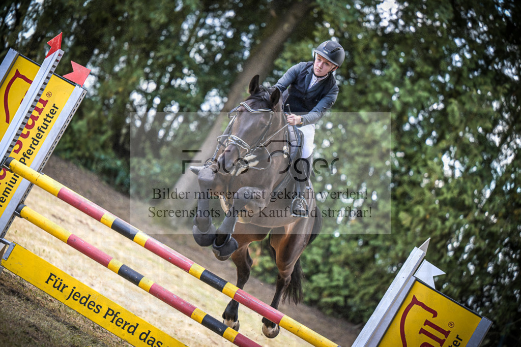 DOS_0370 | Entdecke hochwertige Reitturnierfotos von Foto Oger. Professionell, emotional und authentisch – jetzt Lieblingsmomente im Shop bestellen.Deutschlandweite Turnierfotografie. - Realisiert mit Pictrs.com