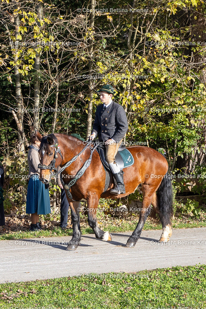 LBT24-129 | foto-bettina-krinner - Realisiert mit Pictrs.com