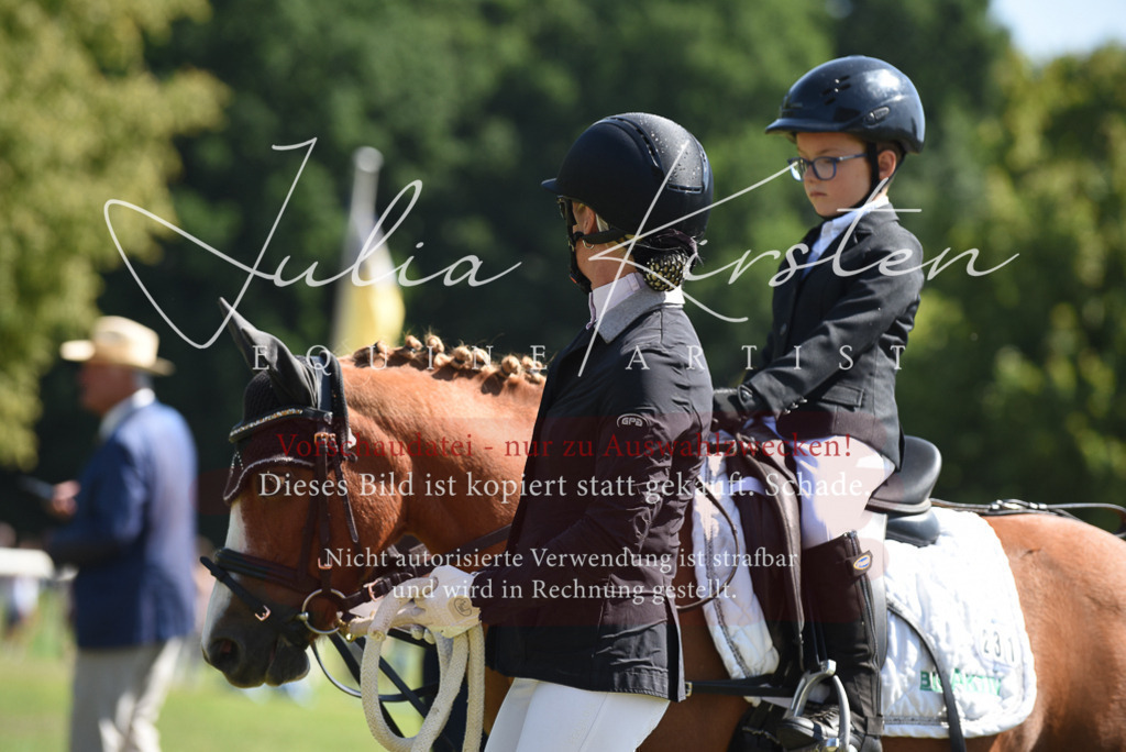 DSC_9727 | Pferde- und Turnierfotografie in Westsachsen. Pferdeportraits, Auftragszeichnungen und intuitive Kunst.
