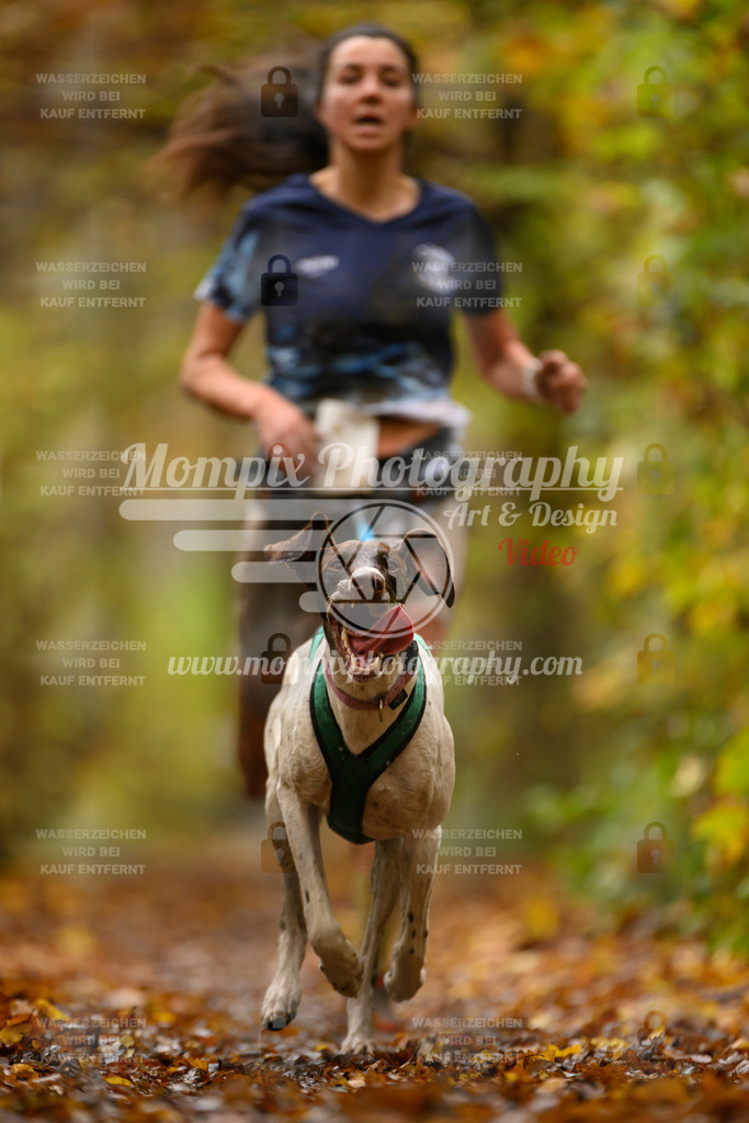 MompixPhotography_CD7S_DI_CCL-33 | mompixphotography