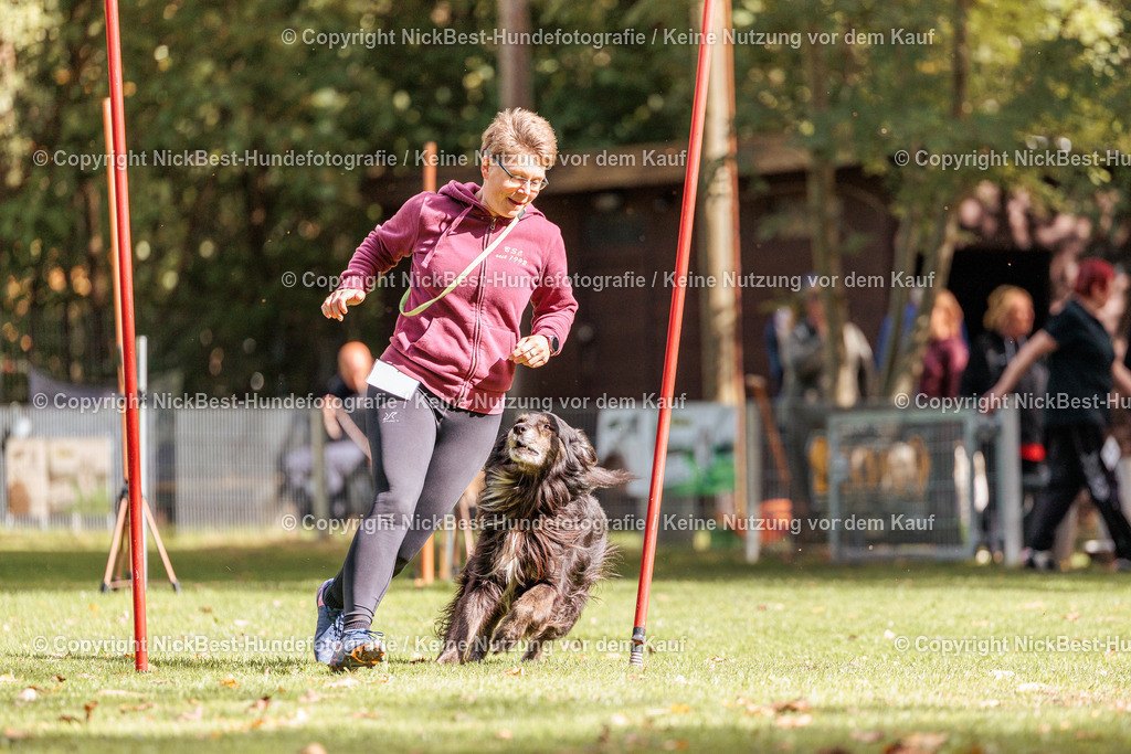 THS-HSV-Blumenthal-2026-Nickbest-Hundefotografie-4800 | Dein Hund! Dein Moment! Deine Erinnerungen! Hundefotografie in Bremen Blumenthal. Ich fange die besonderen Momente deines Vierbeiners ein – ob Indoor mit Blitzanlage oder in der freien Natur. Sicher dir dein Moment und dein Termin für eure Erinnerungen.