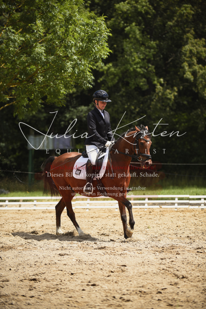 DSC_1558 | Pferde- und Turnierfotografie in Westsachsen. Pferdeportraits, Auftragszeichnungen und intuitive Kunst.