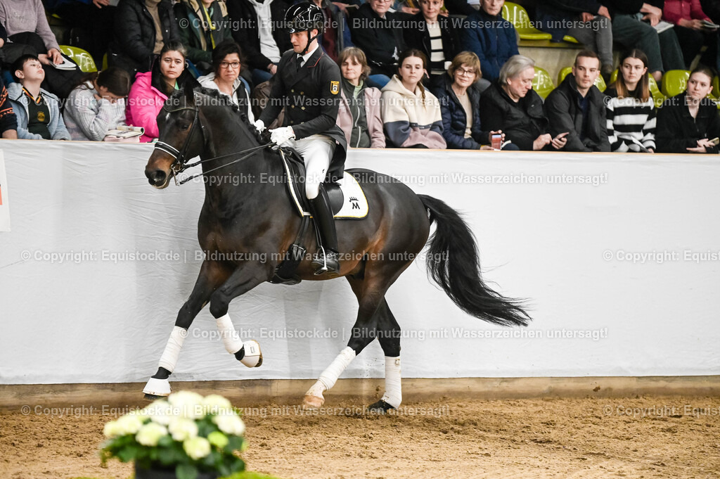 20260307_Hengstvorstellung-Marbach_0208 | equistock