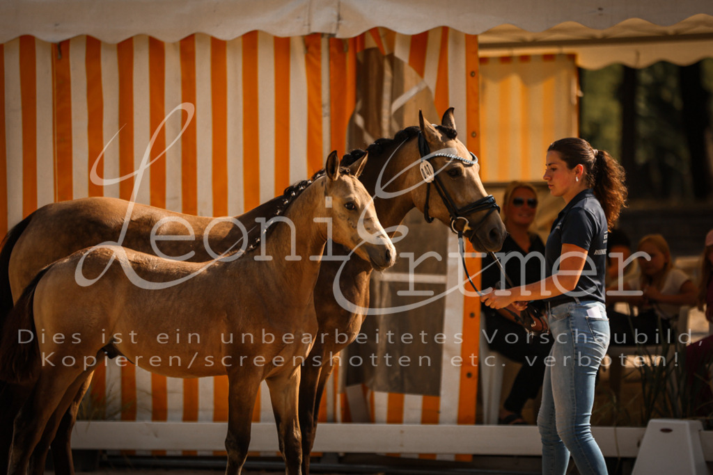 11.DoRP00003 | Leoni Ertmer Photography - Realisiert mit Pictrs.com