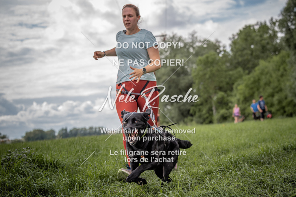 nelerasche_DoN_169 | nelerasche