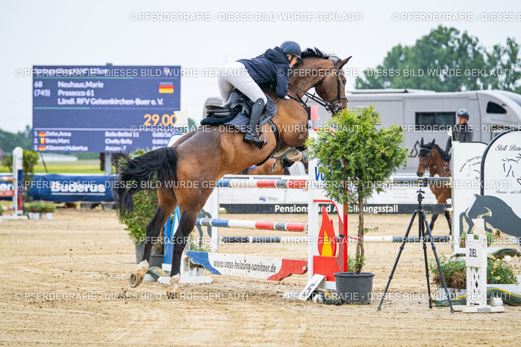 DSC08791 | Pferdegrafie