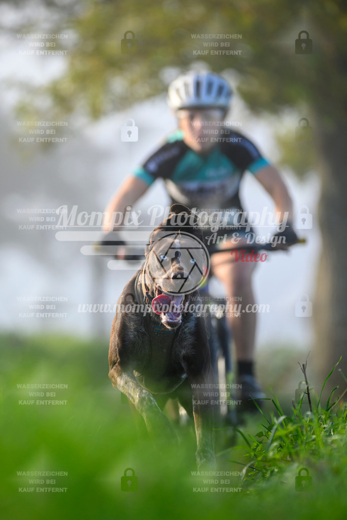 MompixPhotography_20TSB_E3_Bike-128 | PayLife