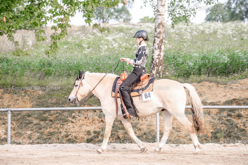 KBB05560 | BS-foto