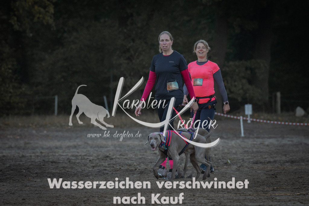 0907_ZZ91379 | kk-dogfotos