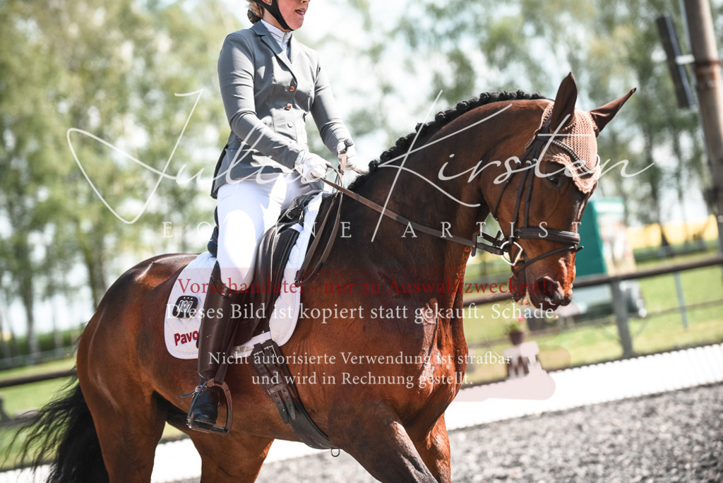 DSC_8958 | Pferde- und Turnierfotografie in Westsachsen. Pferdeportraits, Auftragszeichnungen und intuitive Kunst.