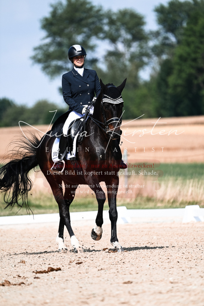 DSC_3289 | Pferde- und Turnierfotografie in Westsachsen. Pferdeportraits, Auftragszeichnungen und intuitive Kunst.