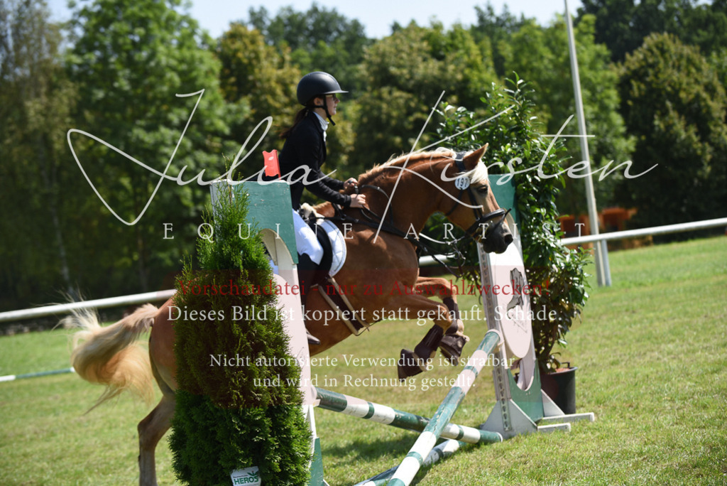 DSC_9941 | Pferde- und Turnierfotografie in Westsachsen. Pferdeportraits, Auftragszeichnungen und intuitive Kunst.