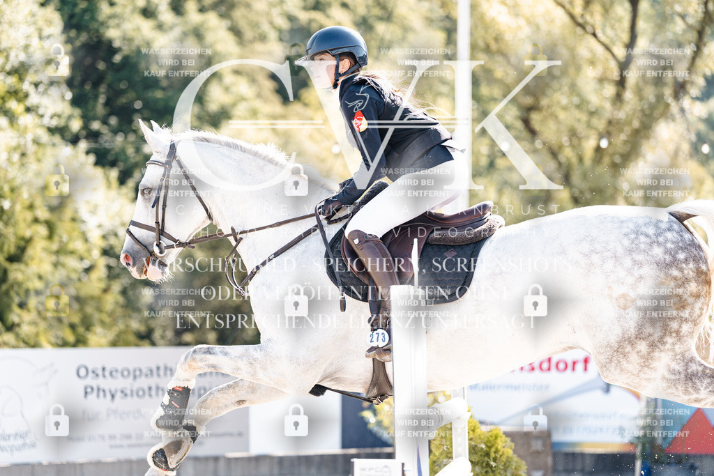 CK904781 | Turnierfotografie Pferdefotografie Trier Rheinland-Pfalz Pferdesport Reitsport Tierfotografie Sportfotografie Pferdevideo Pferdevideografie Equestrianvideography equestrianphotography  - Realisiert mit Pictrs.com