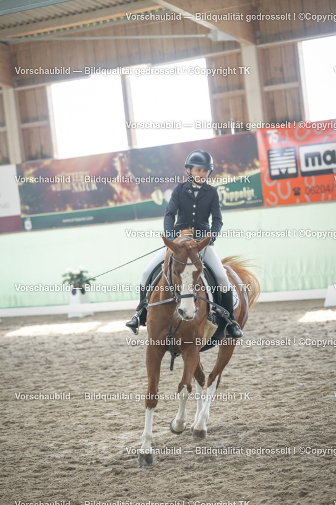 _D5A8832 | Emotionale Pferde- & People-Fotografie rund um Heidelberg, Leimen & Umgebung. Natürliche Fotos von Pferd, Mensch & Familie. Jetzt Termin sichern!