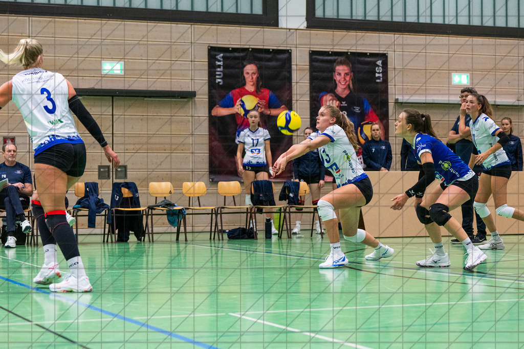 2. VBLF Nord 25/26 | SPT 02 (#4011) | VC Osnabrück vs. USC Münster II | //  27.09.25: 2. VBLF Nord 25/26 | SPT 02 (#4011) | VC Osnabrück vs. USC Münster II / Osnabrück / Deutschland  //   CREDIT:www.bullenfotos.de, Martin König, Hörner Weg 40, D-49078 Osnabrück, +4917663732967 // Nutzung und Weitergabe nur zu den vereinbarten Zwecken. Presseanfragen an Ersteller. Alle Rechte beim Ersteller. Honorierung nach MFM. - Realisiert mit Pictrs.com