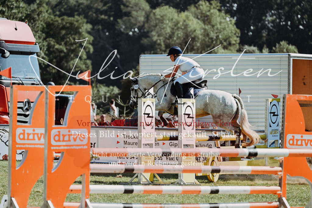 DSC_6124 | Pferde- und Turnierfotografie in Westsachsen. Pferdeportraits, Auftragszeichnungen und intuitive Kunst.