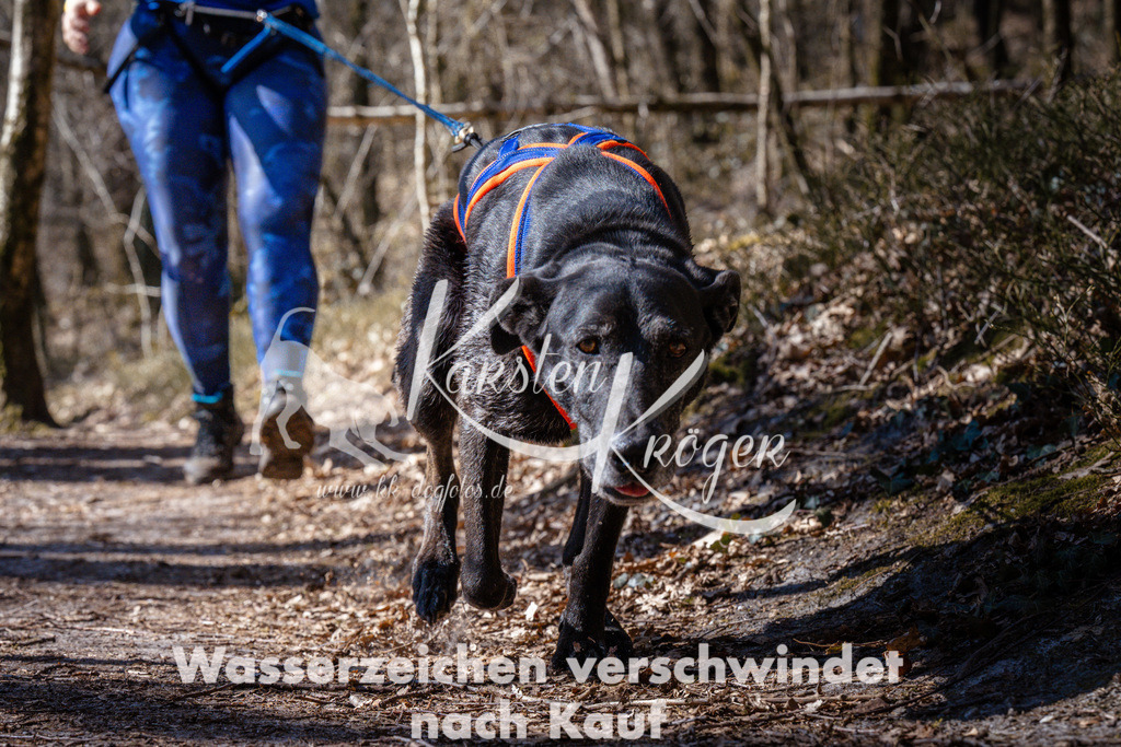 1141_ZZ99726 | kk-dogfotos