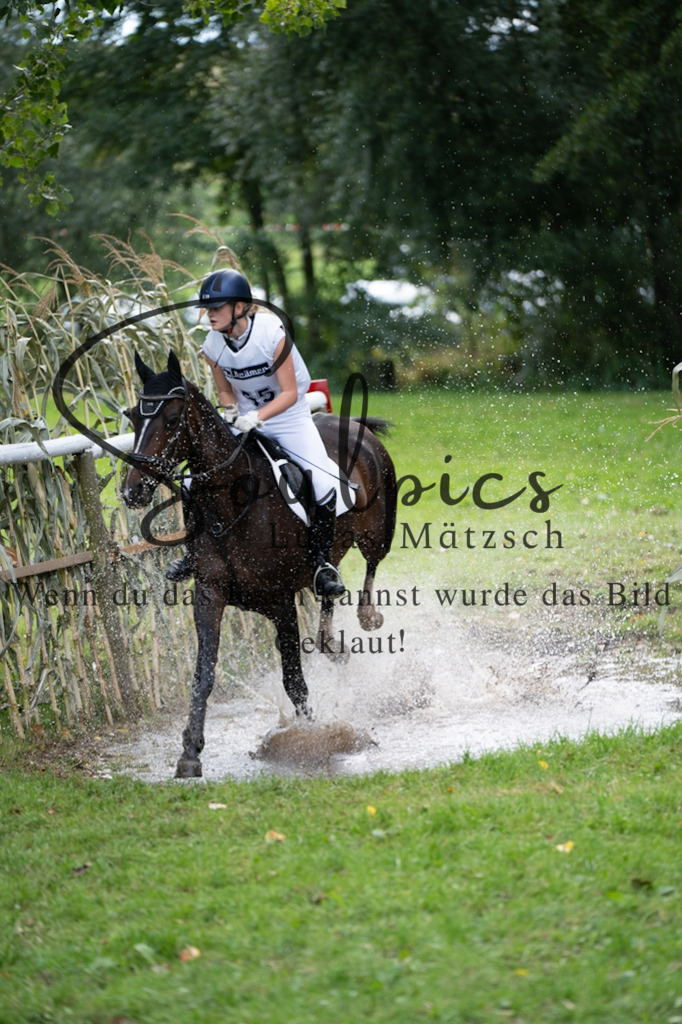 A7V03575 | Pferdefotograf