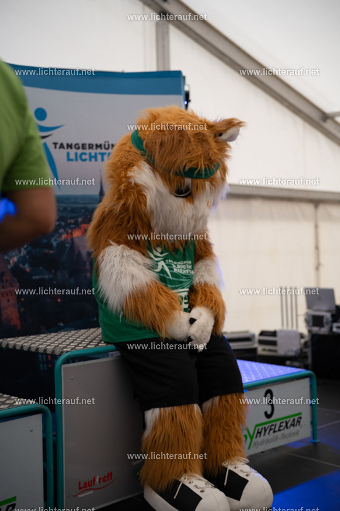 FSC08266 | Lichterlauf  - Realisiert mit Pictrs.com