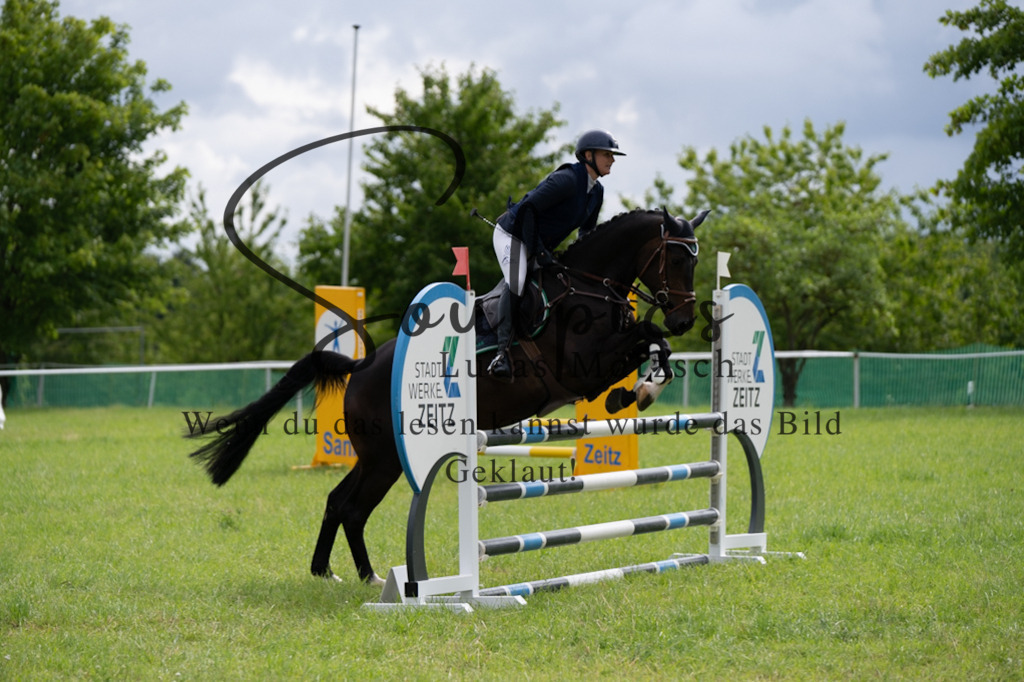 A7V03984 | Pferdefotograf