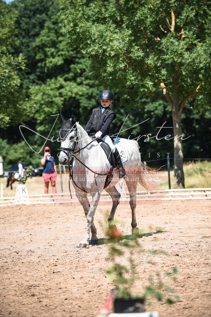 DSC_3126 | Pferde- und Turnierfotografie in Westsachsen. Pferdeportraits, Auftragszeichnungen und intuitive Kunst.