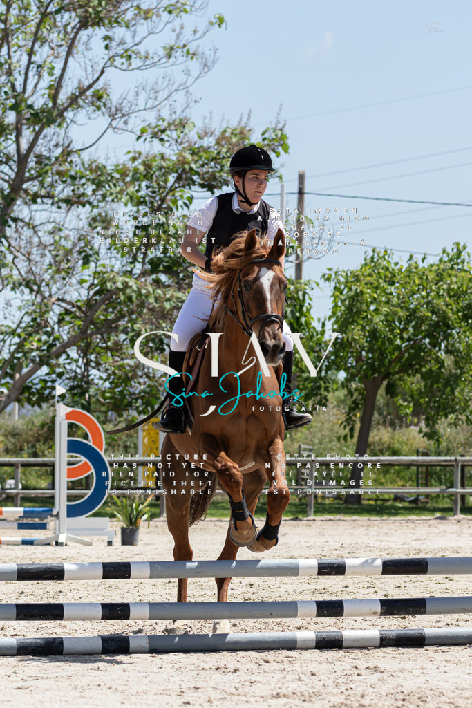 IMG_0273 | s-jay-photography - Realisiert mit Pictrs.com