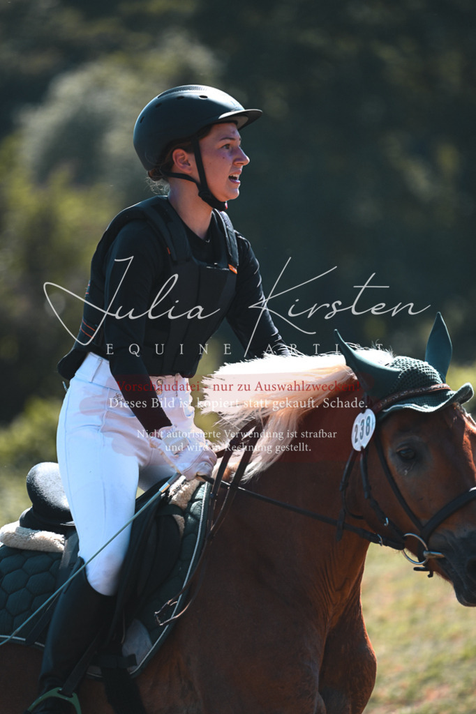 DSC_8087 | Pferde- und Turnierfotografie in Westsachsen. Pferdeportraits, Auftragszeichnungen und intuitive Kunst.