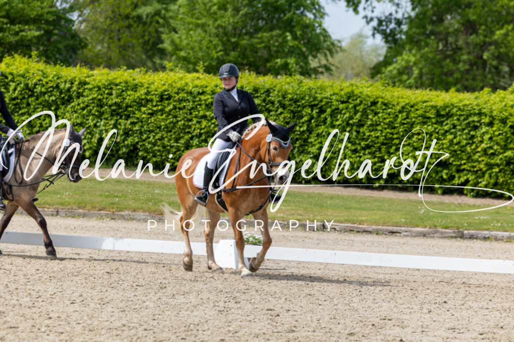 7I8A2734 | melanie-engelhardt-photography - Realisiert mit Pictrs.com