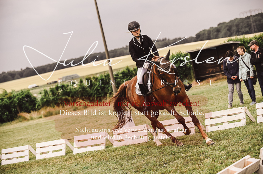 DSC_4858 | Pferde- und Turnierfotografie in Westsachsen. Pferdeportraits, Auftragszeichnungen und intuitive Kunst.