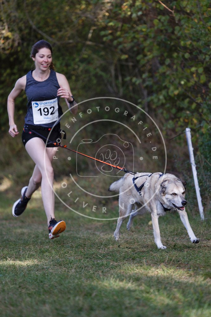 0L8A5670 | Hundefotografie, Tierfotograf, Pfotenfotografie, Fotoshooting Hund, Hunde Portrait, Hundesport, Hundeportraits, Heideshooting, Hunde, Sportfotograf, Hundefotograf, Turnierhundsport, THS,  - Realisiert mit Pictrs.com