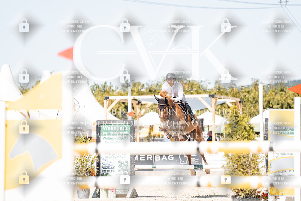 CK909529 | Turnierfotografie Pferdefotografie Trier Rheinland-Pfalz Pferdesport Reitsport Tierfotografie Sportfotografie Pferdevideo Pferdevideografie Equestrianvideography equestrianphotography  - Realisiert mit Pictrs.com