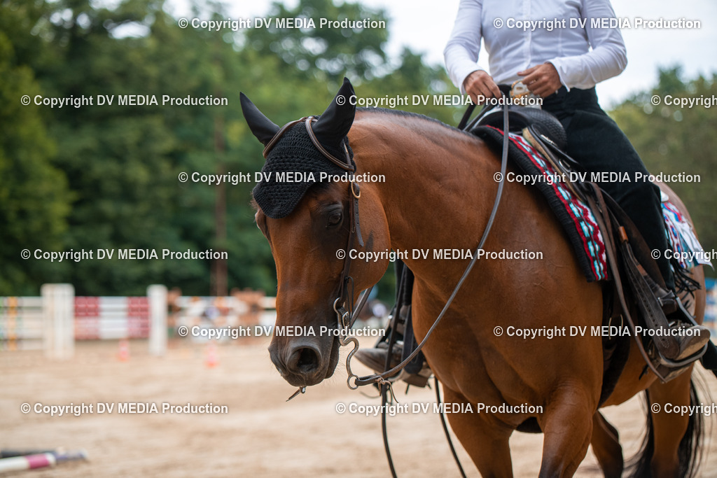 ZS2_8394 | dv-media-shop - Realisiert mit Pictrs.com