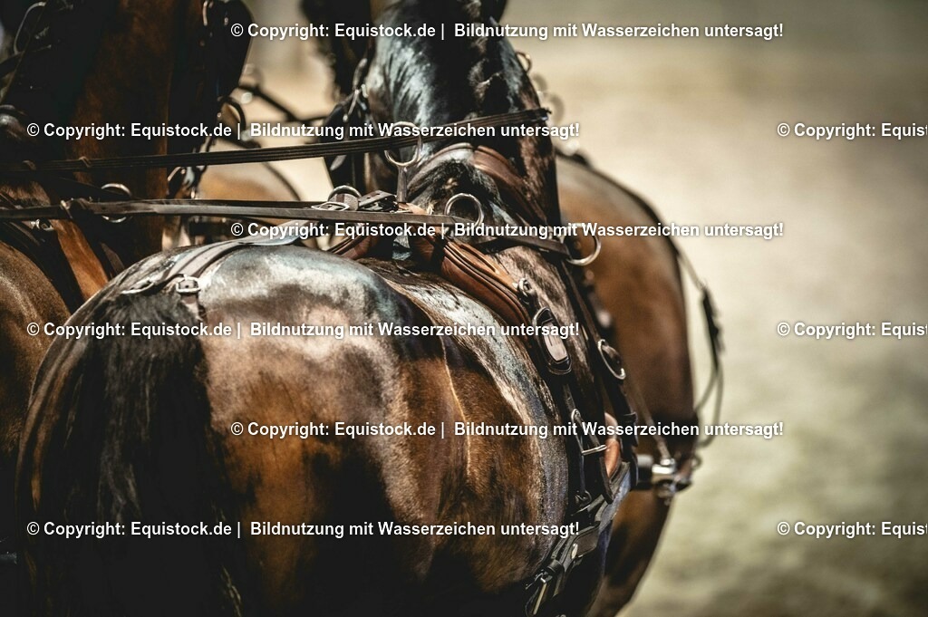 20240203_FEI-Driving-World-Cup_0009 | Foto: Thomas Hartig