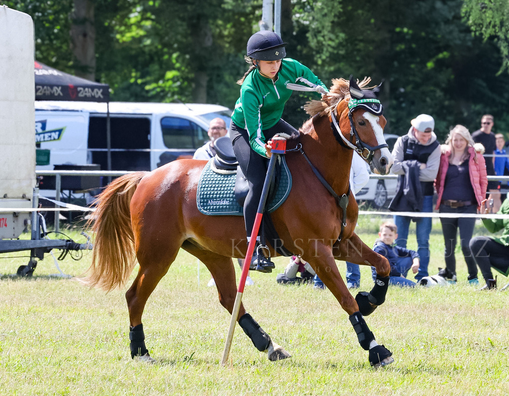 IMG_1598 | Reitsport Reiten