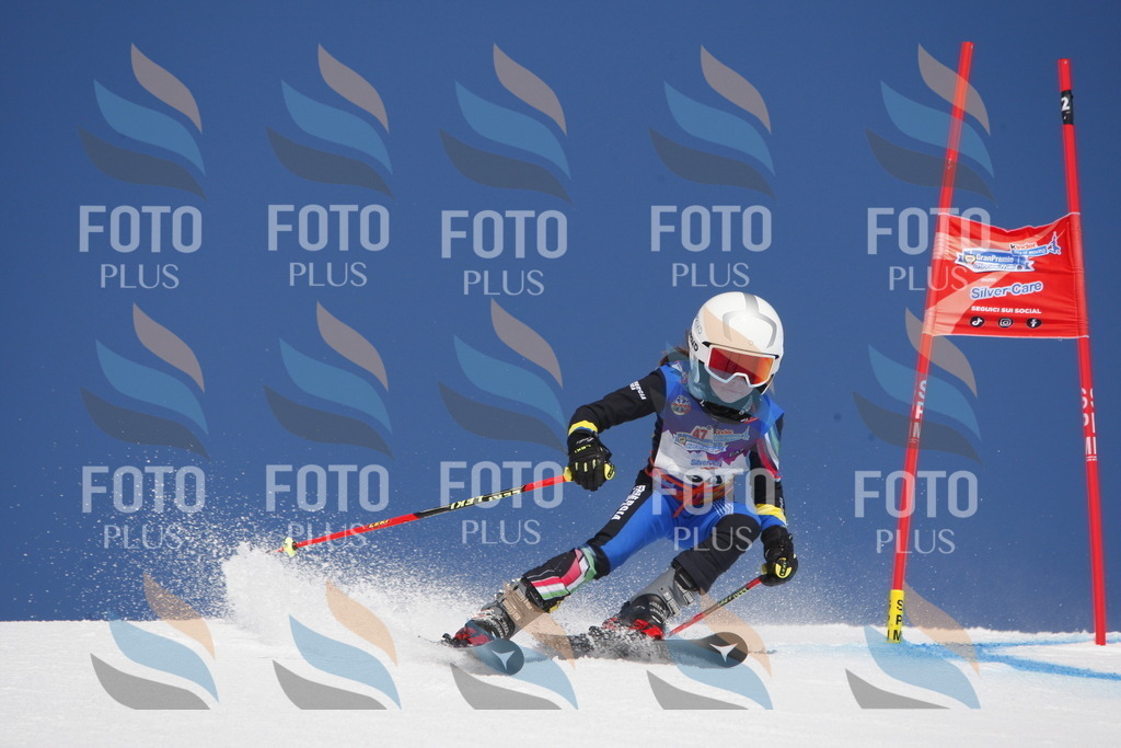 _W1G1299 | holidayphoto