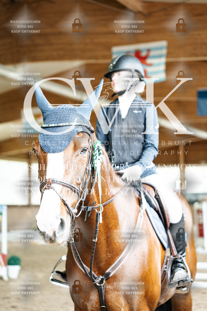 CK703421 | Turnierfotografie Pferdefotografie Trier Rheinland-Pfalz Pferdesport Reitsport Tierfotografie Sportfotografie Pferdevideo Pferdevideografie Equestrianvideography equestrianphotography  - Realisiert mit Pictrs.com