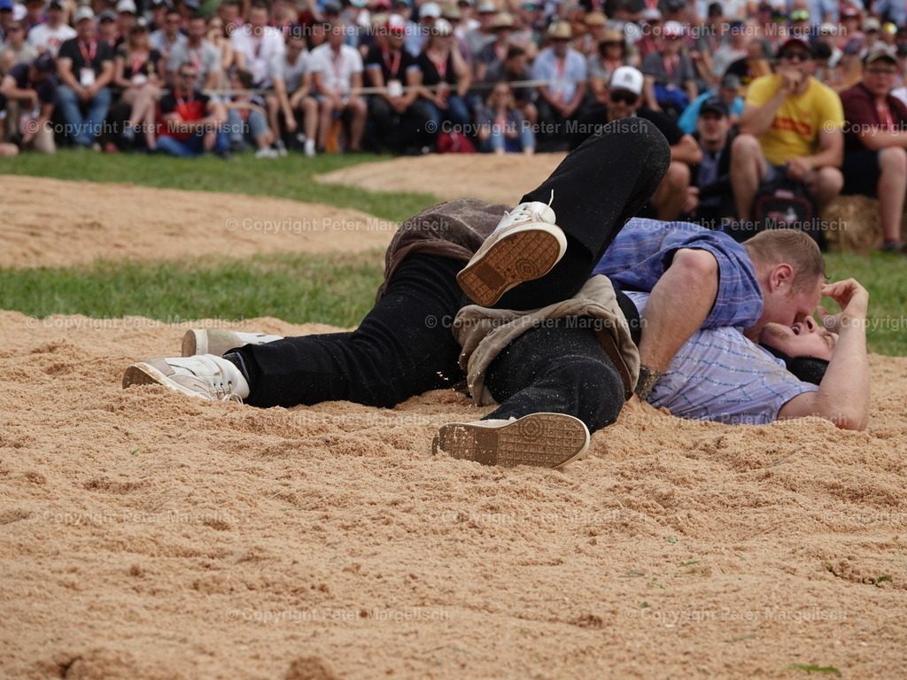 DSC04980 | Schwingen - Realisiert mit Pictrs.com