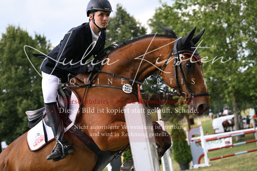 DSC_1011 | Pferde- und Turnierfotografie in Westsachsen. Pferdeportraits, Auftragszeichnungen und intuitive Kunst.