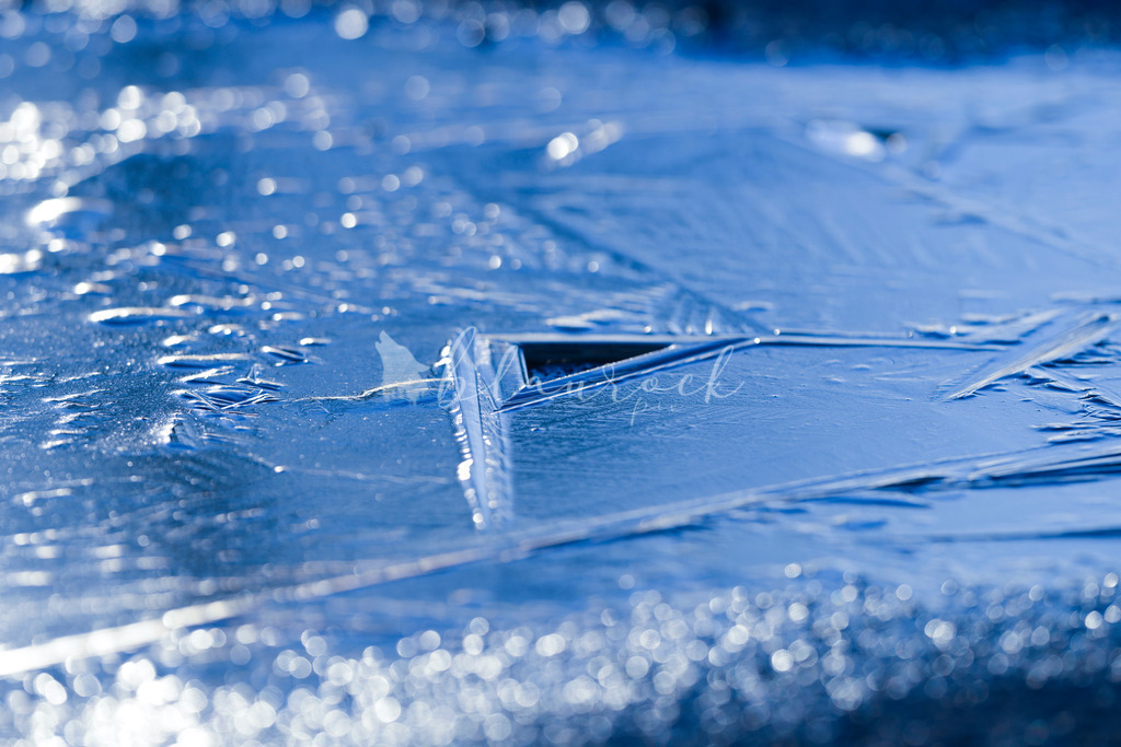 701A5138 | Sportbilder, Sportfotograf, Hochzeits- und Eventfotografin, Flugshows, Portraits und Tiershooting, Aviation, Downhill, Nationalleague, Swissleague, International