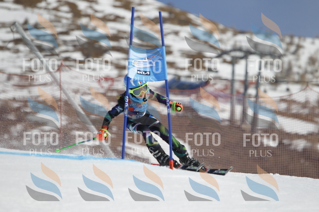 _U3G0264 | holidayphoto