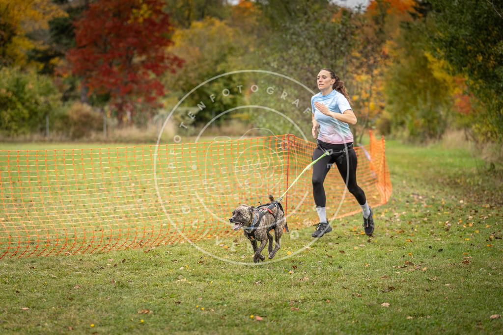Pfotenfotografie_DV3A4840 | Hundefotografie, Tierfotograf, Pfotenfotografie, Fotoshooting Hund, Hunde Portrait, Hundesport, Hundeportraits, Heideshooting, Hunde, Sportfotograf, Hundefotograf, Turnierhundsport, THS,  - Realisiert mit Pictrs.com