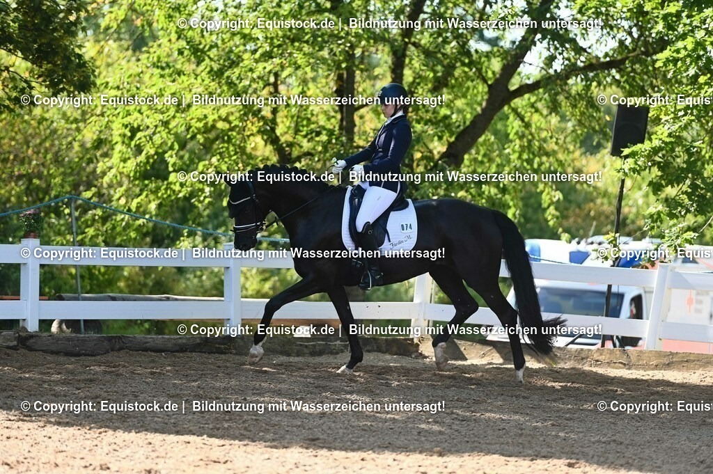 20230715_06_Dressurpferdeprfg. Kl.A_0254 | equistock