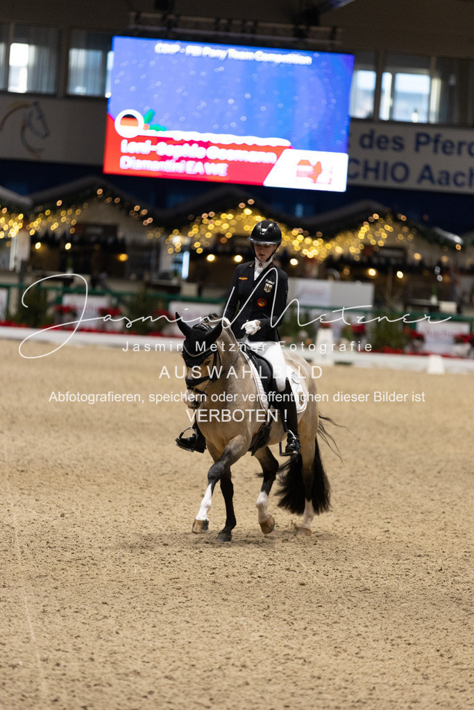 126A5015 | jasminmetznerfotografie