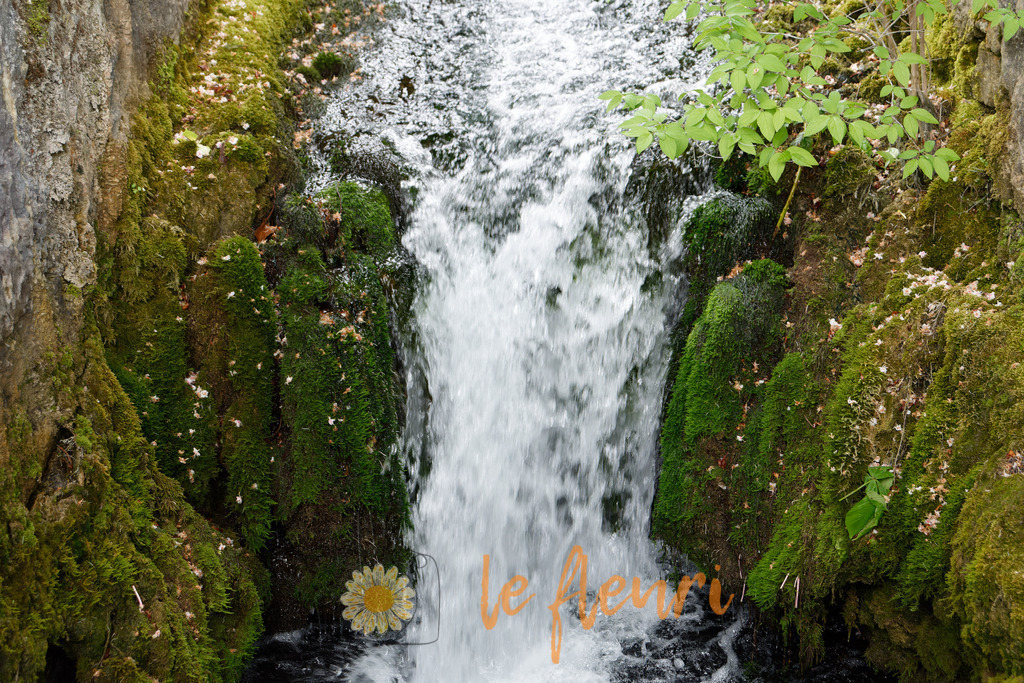 Die Römerquelle | Dies ist der Shop von Florian Blum - le fleuri. Langenthal, Bern, SchweizSie können hier meine oder ihre eigenen Fotos als Fotoprodukte kaufen. Tassen, Schlüsselanhänger, Taschen etc. können Sie hier gestalten.  - Realisiert mit Pictrs.com