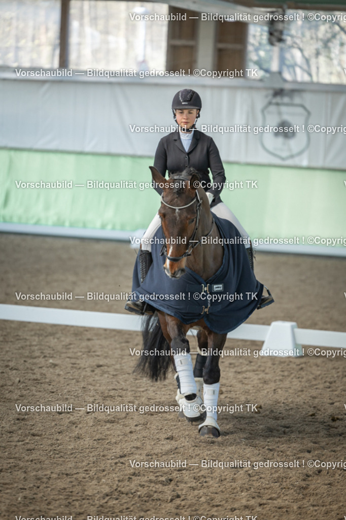 _D5A8640 | Emotionale Pferde- & People-Fotografie rund um Heidelberg, Leimen & Umgebung. Natürliche Fotos von Pferd, Mensch & Familie. Jetzt Termin sichern!