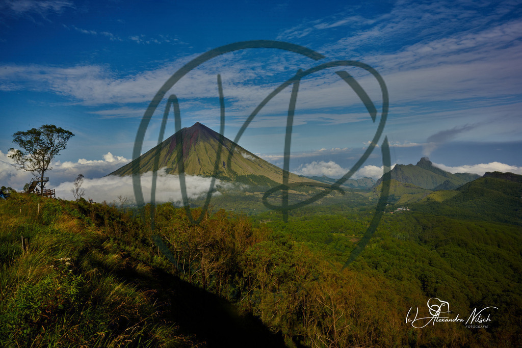 ndfoto_DSC_1573_Original (priv. Nutzung)_6f7702c5_ | nitsch-dingeldein fotografie - Realisiert mit Pictrs.com