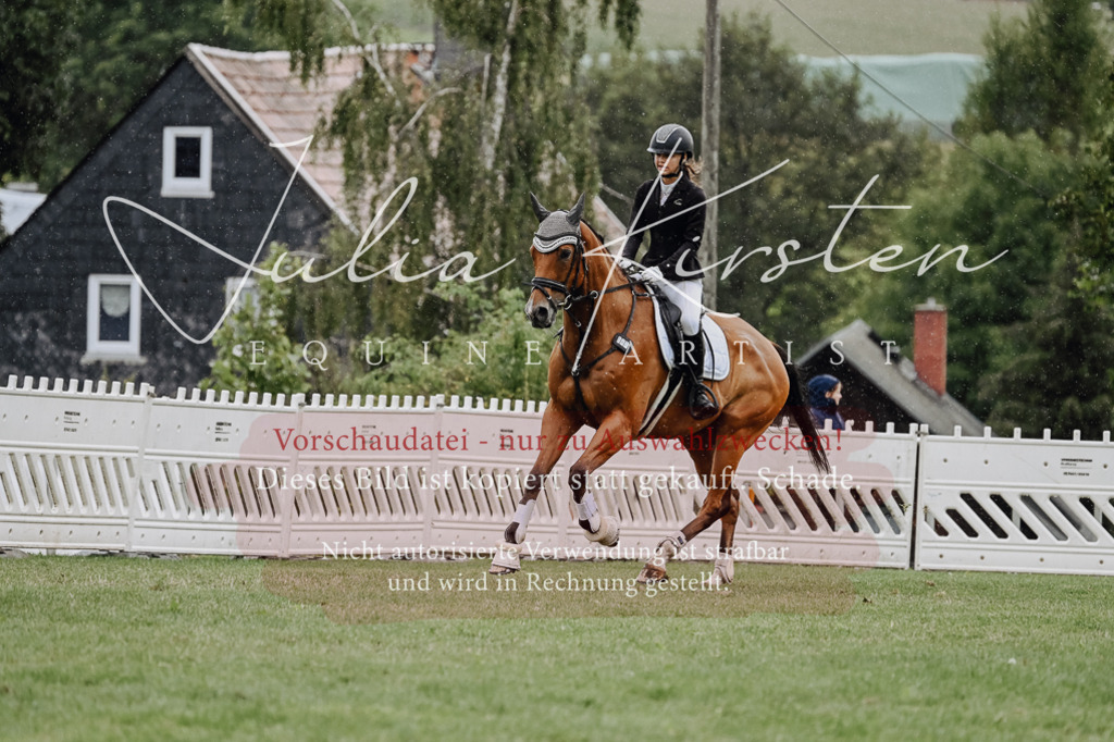 DSC_6941 | Pferde- und Turnierfotografie in Westsachsen. Pferdeportraits, Auftragszeichnungen und intuitive Kunst.