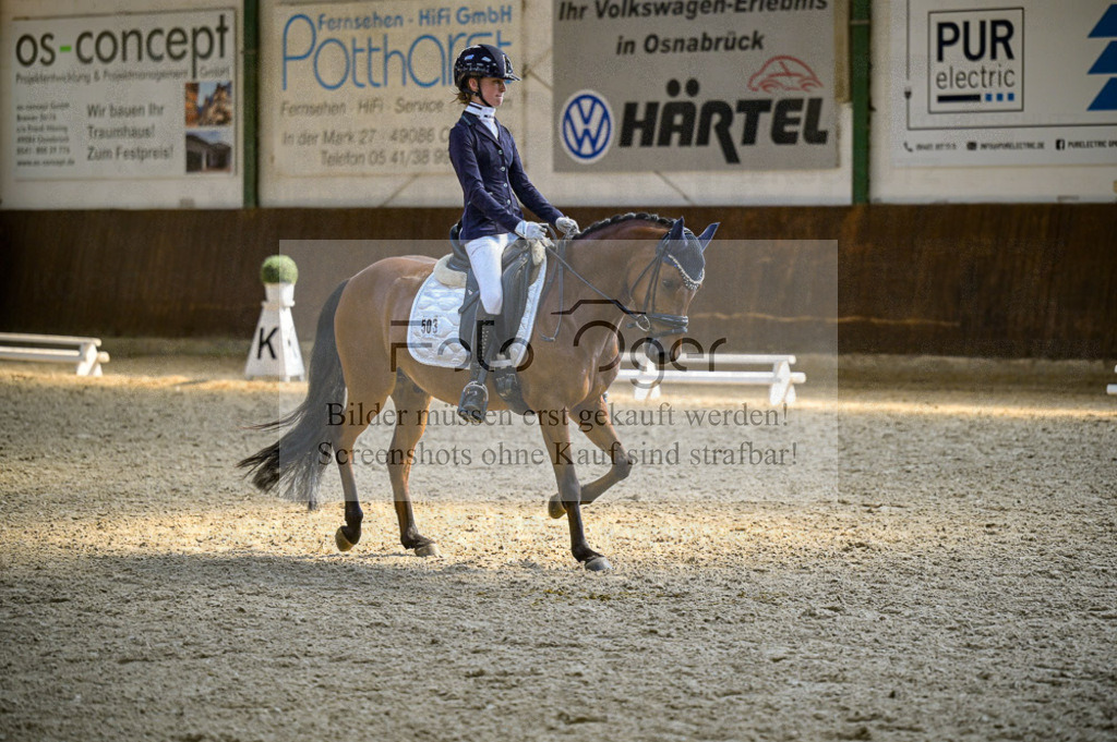 Reitturnier Voxtrup | Entdecke hochwertige Reitturnierfotos von Foto Oger. Professionell, emotional und authentisch – jetzt Lieblingsmomente im Shop bestellen.Deutschlandweite Turnierfotografie. - Realisiert mit Pictrs.com