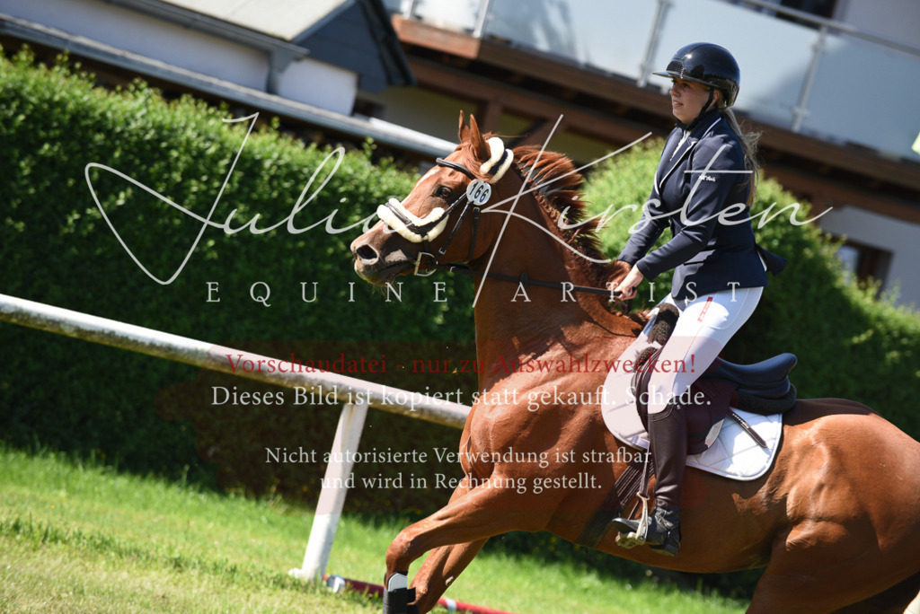 DSC_9343 | Pferde- und Turnierfotografie in Westsachsen. Pferdeportraits, Auftragszeichnungen und intuitive Kunst.